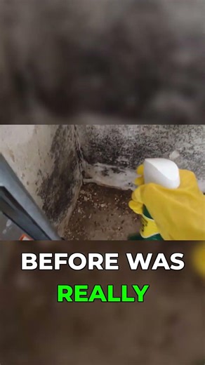 Contractor Grade Mold Remover vs. My Worst Mold Problem #producttest #transformation