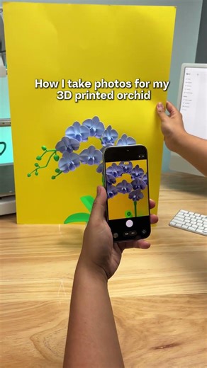 Me and my cyberflower.