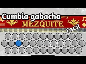 Cumbia Gabacha | tutorial Fácil Acordeón Mezquite app📱