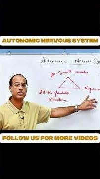 What Does the Autonomic Nervous System Actually Do?