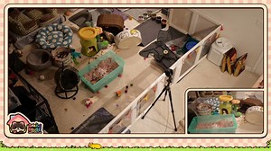 FerretSoftware - frog and toad somehow squeeze into the small tube