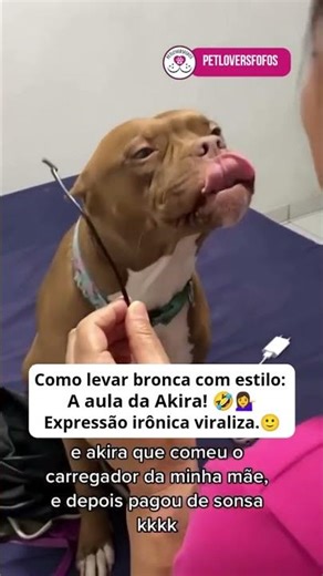 O carregador já era, mas o sorriso de deboche da Akira vale ouro! 😂📱🔌