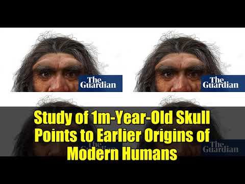Study of 1m-Year-Old Skull Points to Earlier Origins of Modern Humans