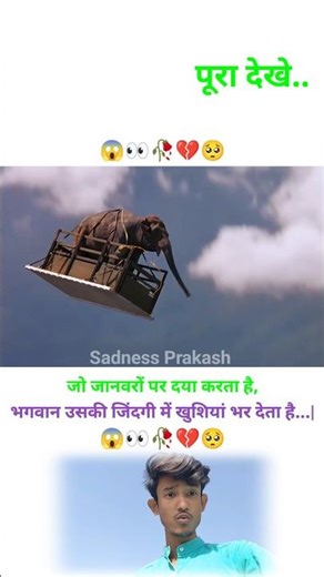 जो जानवरों पर दया करता है, भगवान उसकी जिंदगी में खुशियां भर 👀🥀💔🥺 | MOTIVATIONAL VIDEO #short #trend