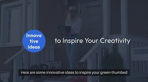 Creative Indoor Planters and Pots Ideas