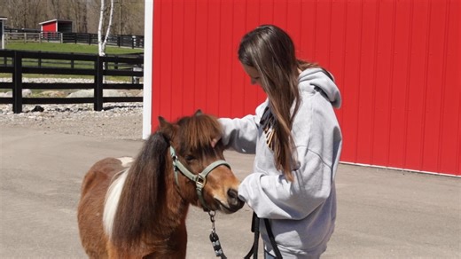 3.3K views · 85 reactions | In April, Alex, Napoleon and Big Poppa...