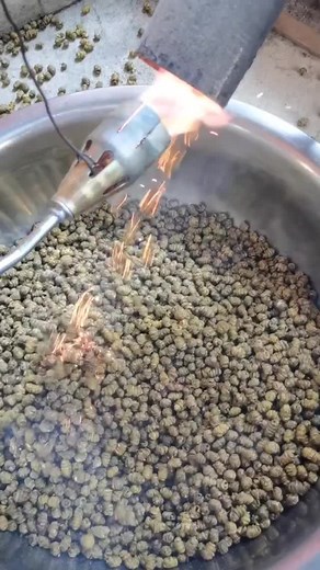 How It's Made: Processing Green Tea Leaves