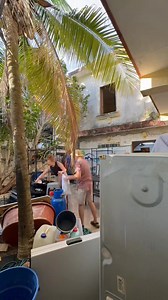 6.2K views · 249 reactions | We did it 拾拾拾拾 Isla Animals is now officially in our own shelter Oasis  Thanks to everybody who was supporting us ♥️♥️♥️ and now let us rescue some dogs and cats  #buildingashelter #dogshelter #movingdate #rescuedogs #islaanimalsrescue | Isla Animals | Facebook