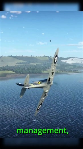 ✈️ Combat Simming Is Where It Is At ! ✈️