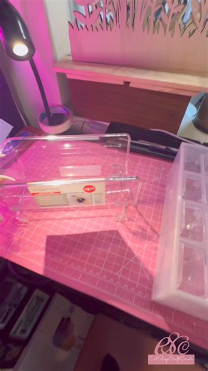 4.1K views · 49 reactions | Dollar tree wine bottle holders have so many uses for storage in the craftroom as well! Craftroom storage on a budget. #dollartreeorganization #craftvideos #happycrafting #crafting #diyprojects #vinyl #creative #CreativeContent #diy | Eat Sleep Craft Create | Facebook