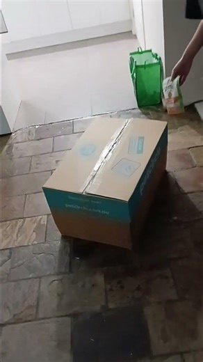 the wiz magic box vs snappy tom #wiz #snappytom #cats #viral #funny