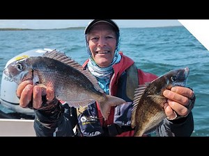 Scup Fishing - Porgy Fishing, using artificial bait and Porgy Rigs