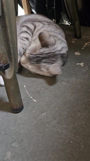 ONLY because he has alot of love on my pages | Joseph Thee BaKer