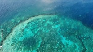A flyover of the circular atolls revealing the intricate colors and textures of the diverse coral species.