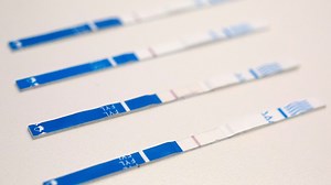 Arkansas legalizes fentanyl test strips