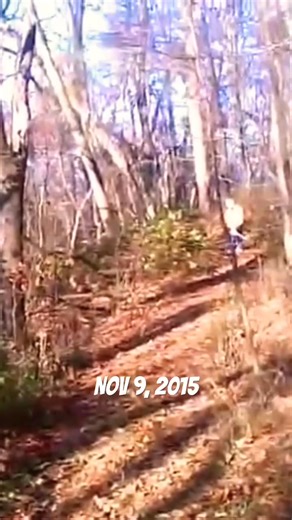 4.3K views · 50 reactions | In this firewood video my supplier/helper Jason fells 90' tall black locust tree using my Stihl MS460 chainsaw | Joe's Premium Firewood | Facebook