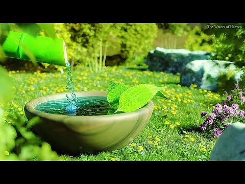 12 Hours Tranquil Bamboo Fountain Sounds and Relaxing Music for Inner Peace