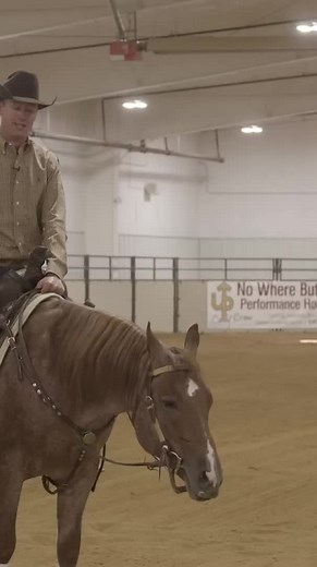 Essential Horse Training Tips for Ranch Versatility