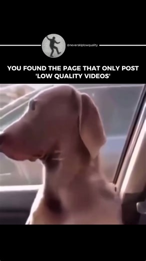 Only ‘LOW QUALITY VIDEOS’ . . . #fyp #memes #lowquality #foryoupage #oldmemes