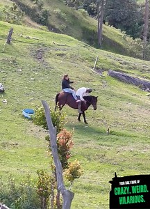 Hilarious Horse Fail Moments 🐴🤣 | Ricky Forbes