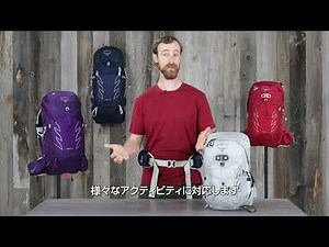 タロン/テンペスト [オスプレー]