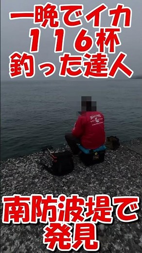 北海道 小樽 釣り ヤリイカ マメイカ ジンドウイカ ヒイカ #fishing #小樽