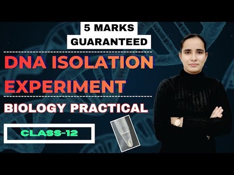 DNA Isolation Practical Class 12 🧬 | CBSE Boards 2026 | 5 Marks Guaranteed | Step-by-Step