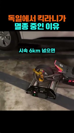 킥라니 박멸 중인 독일경찰 #경찰 #공권력 #킥라니