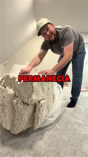 TIENE unas HORAS para RECOGER su CUBO 🛋️😱 #shorts #sofa #diseño #humor #divertido