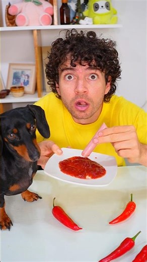 Como comer salchichas 🌭😱😱 #perrosalchicha
