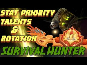 TBC Survival Hunter PvE QUICK Guide! | Stat Priority, Talents, and Single Target DPS Rotation!