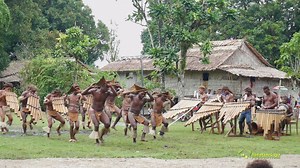 Original Solomon Islands cultural bamboo pipe music dance from the Islands, Melanesia, Pacific Ocean | Studiohomegrown Productions