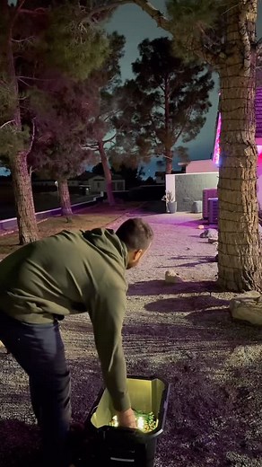 4 comments | Official tree-wrapping guide: Step 1: Grab lights. Step 2: Throw lights at tree. Step 3: It won’t work. Just hit the link in bio. | Lights Up | Facebook