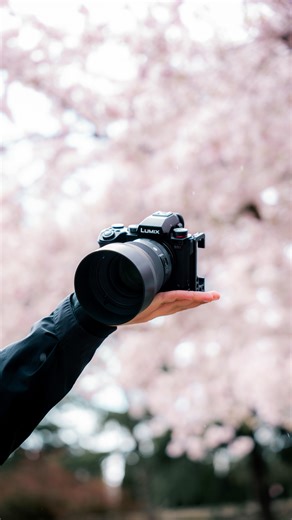 Cherry blossom season always comes and goes too quickly. With the LUMIX S5II’s fast hybrid autofocus and built-in image stabilization, fleeting street scenes are captured with clarity - even handheld.​ ​ From the pink flowers contrasted against stunning blue skies to packed streets decorated in natures beauty, the S5II delivers full-frame detail and cinematic color that brings every petal to life.​ ​ 👤 @artiomsphotography 📍Portland, Oregon​ 📸 LUMIX S5II 50mm f/1.8​ ​ #LUMIXS5II #ShotOnLUMIX #