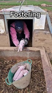 Flavian Obiero on TikTok