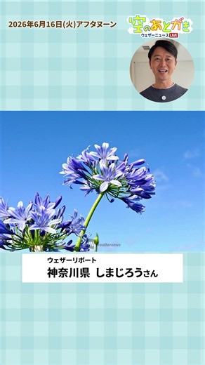 [Postscript from the Sky] Which report caught anchor Kawabata’s eye? June 16 #CommuteEfficiency #...