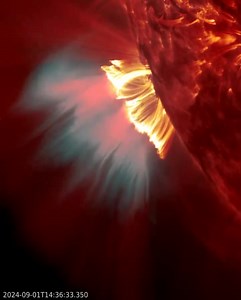 #ReelAlienígena #nibiruhabitable #mundoslejanos #PlanetaX #VidaExtraterrestre #CienciaYFicción #universovivo #planetaspeligrosos #planetasaterradores #UniversoOscuro | misterios de la vida