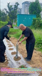 Iron pole seedling planting process