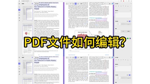 PDF文件如何编辑？