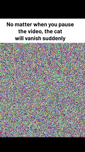 No matter when you pause the video, the cat will vanish suddenly | Amazing World & Architecture