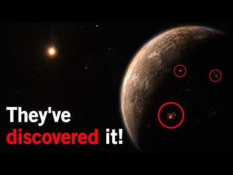 The James Webb Telescope Discovers Lights on Proxima B!