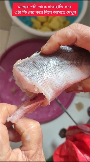 Look what Mom pulled out of the fish's belly after a long struggle. #everyone