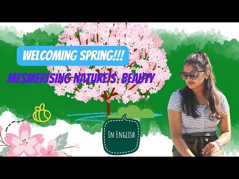 Exploring the vibrant beauty of spring in Sweden : A visual journey