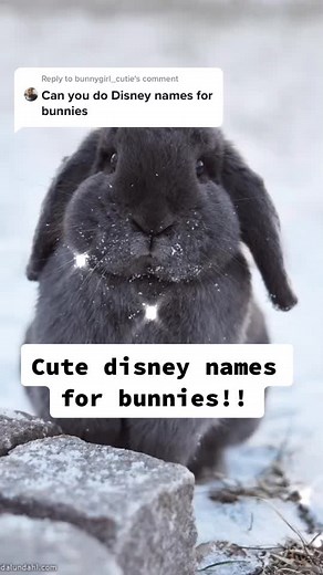 Reply to @bunnygirl_cutie yes I can!! Enjoy! #bunnies #fyp #disney #cute