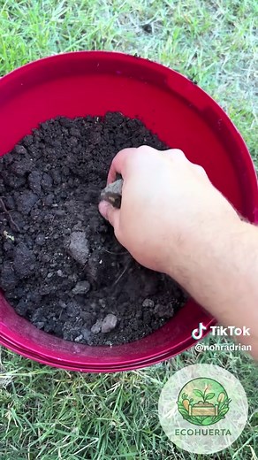 Crea una Maceta Funcional con Materiales Reciclados