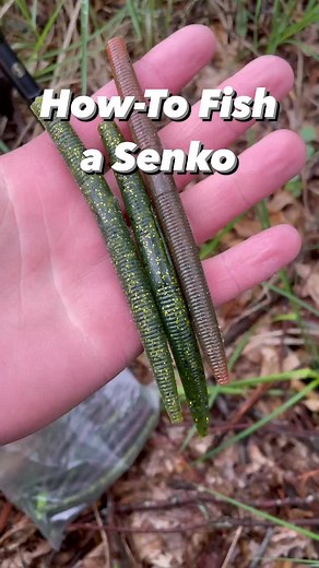 How to Catch a Fish on a Senko: Fishing Tips and Tricks