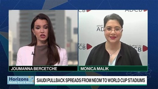 Malik: Private Capital Important in Saudi Arabia