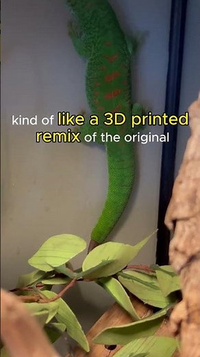 Reptile Facts That’ll Blow Your Mind!