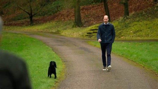 Prince William brings his beloved dog Orla to meet Eugene Levy's travel show