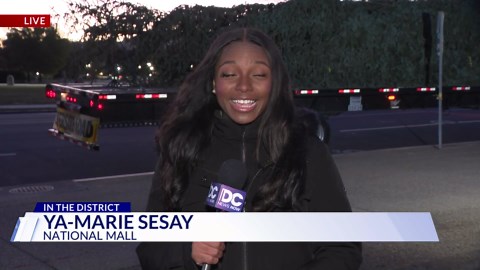 It's here! Capitol Christmas tree arrives in DC